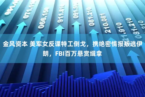 金风资本 美军女反谍特工倒戈，携绝密情报叛逃伊朗，FBI百万悬赏缉拿