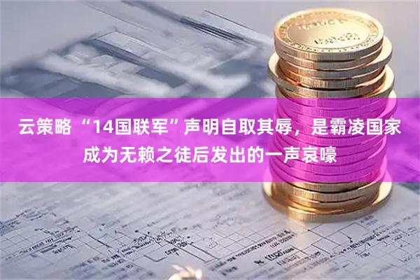 云策略 “14国联军”声明自取其辱，是霸凌国家成为无赖之徒后发出的一声哀嚎