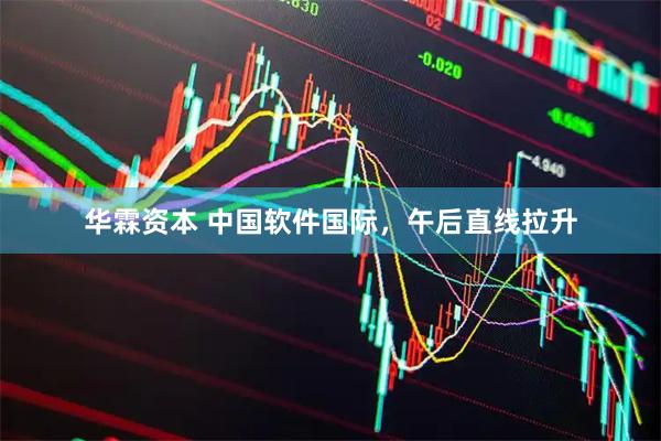 华霖资本 中国软件国际，午后直线拉升