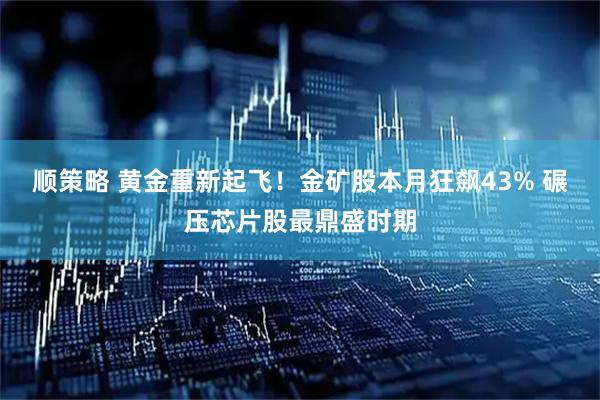 顺策略 黄金重新起飞！金矿股本月狂飙43% 碾压芯片股最鼎盛时期